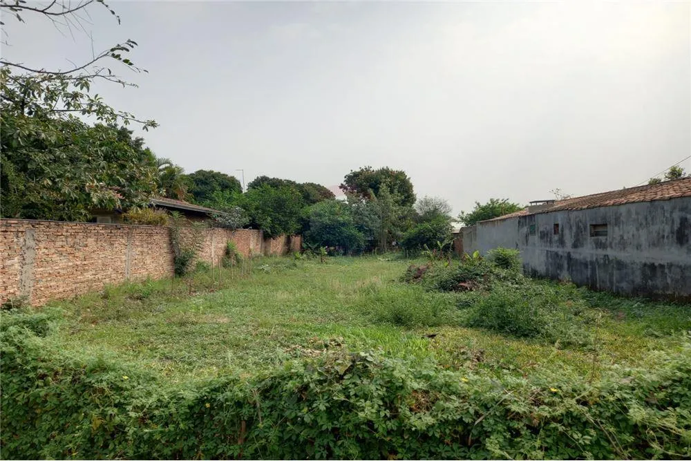 VENDO TERRENO EN LUQUE — foto 3