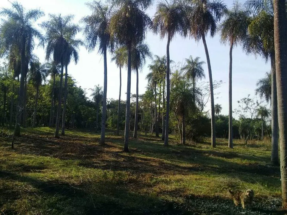 VENDO TERRENO Hermosa Ubicacion YAGUARON — foto 2