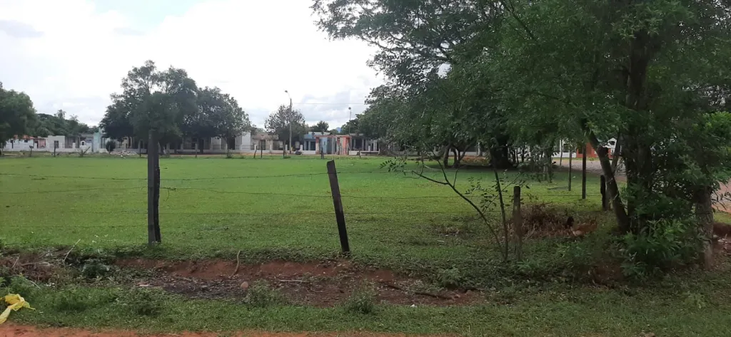 VENDO 8 TERRENOS JUNTOS - OFERTA — foto 3