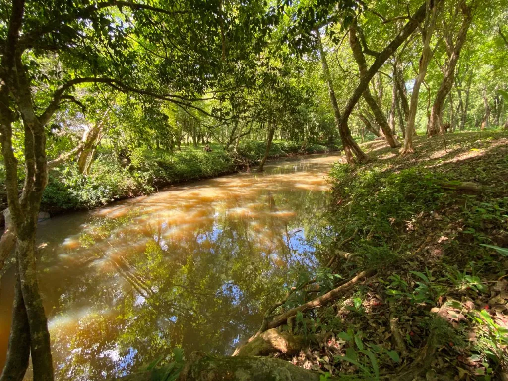 VENDO TERRENO CON ARROYO — foto 3