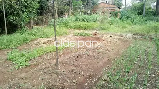 Vendo terreno en Luque 10x50 — foto 2