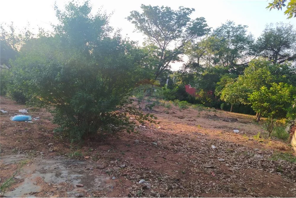 VENDO TERRENO EN LAMBARE — foto 3