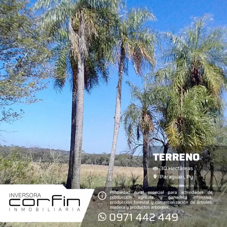 30 HAS A 19 KM DEL CENTRO DE PARAGUARI — foto 2