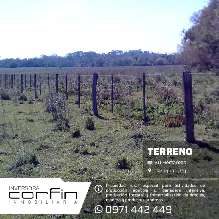 30 HAS A 19 KM DEL CENTRO DE PARAGUARI — foto 3