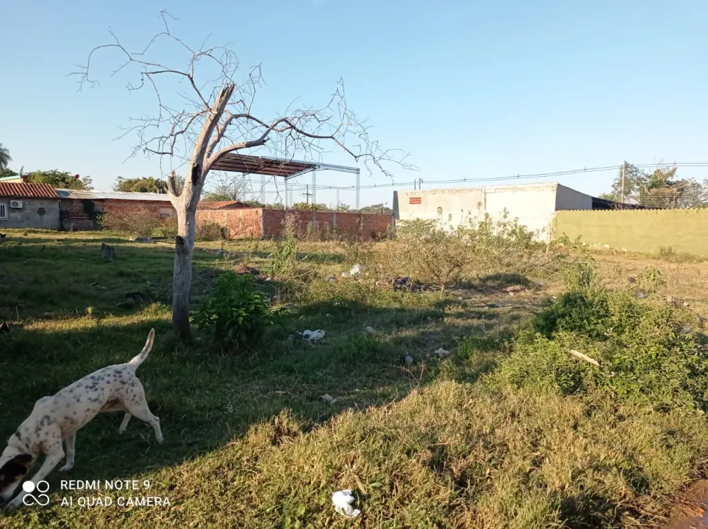 Vendo terreno — foto 3