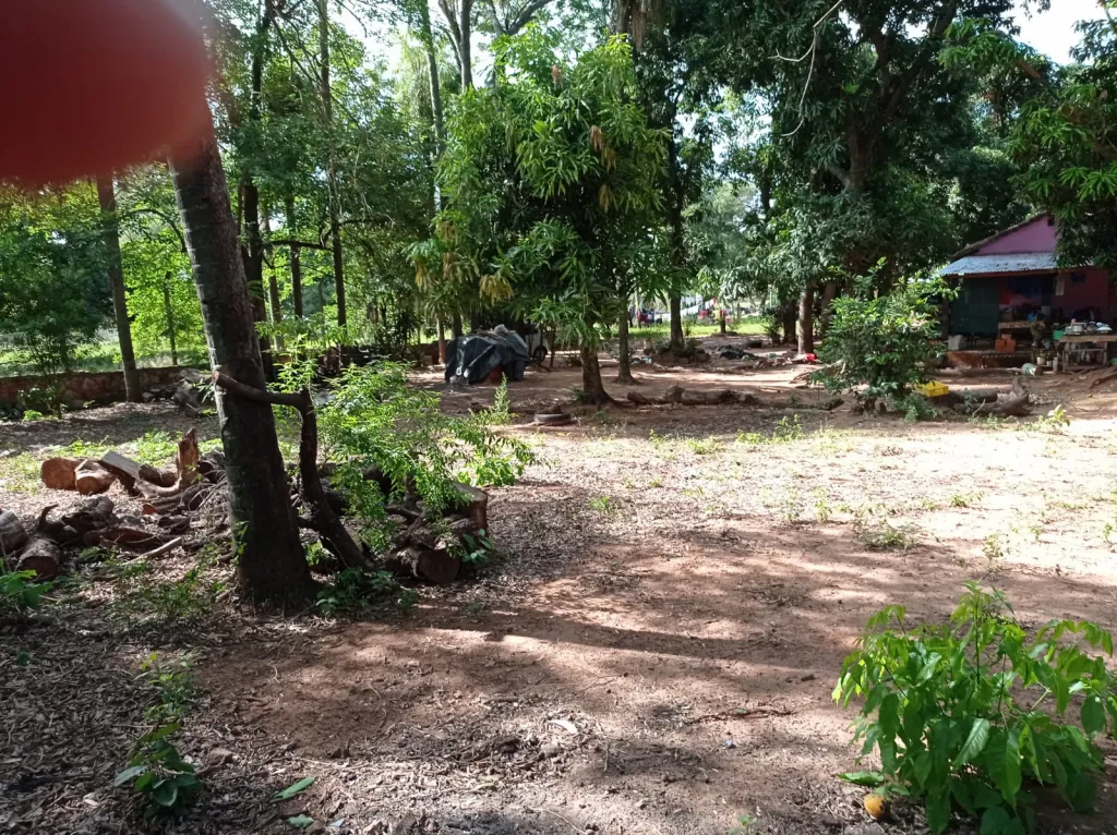 Vendo una casa quinta — foto 3