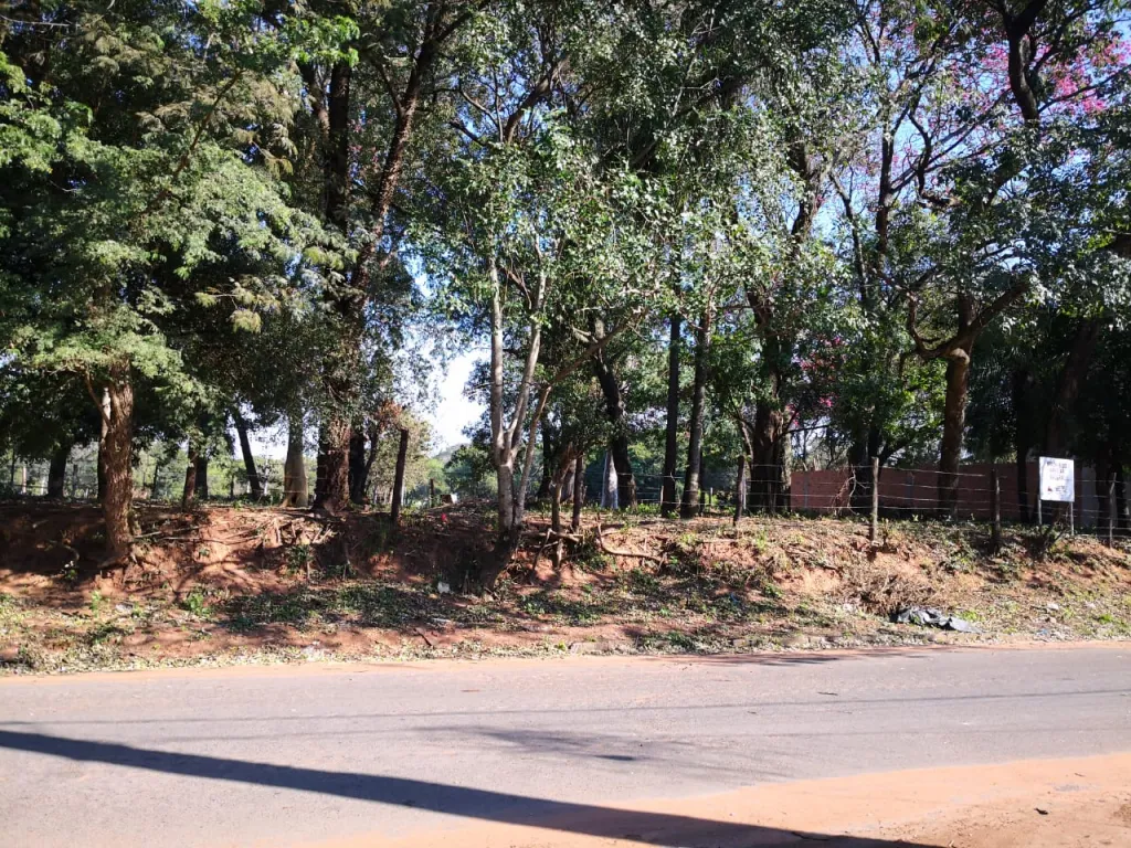 VENDO 4 LOTES JUNTOS EN LAMBARE – ZONA PUERTO PABLA — foto 3