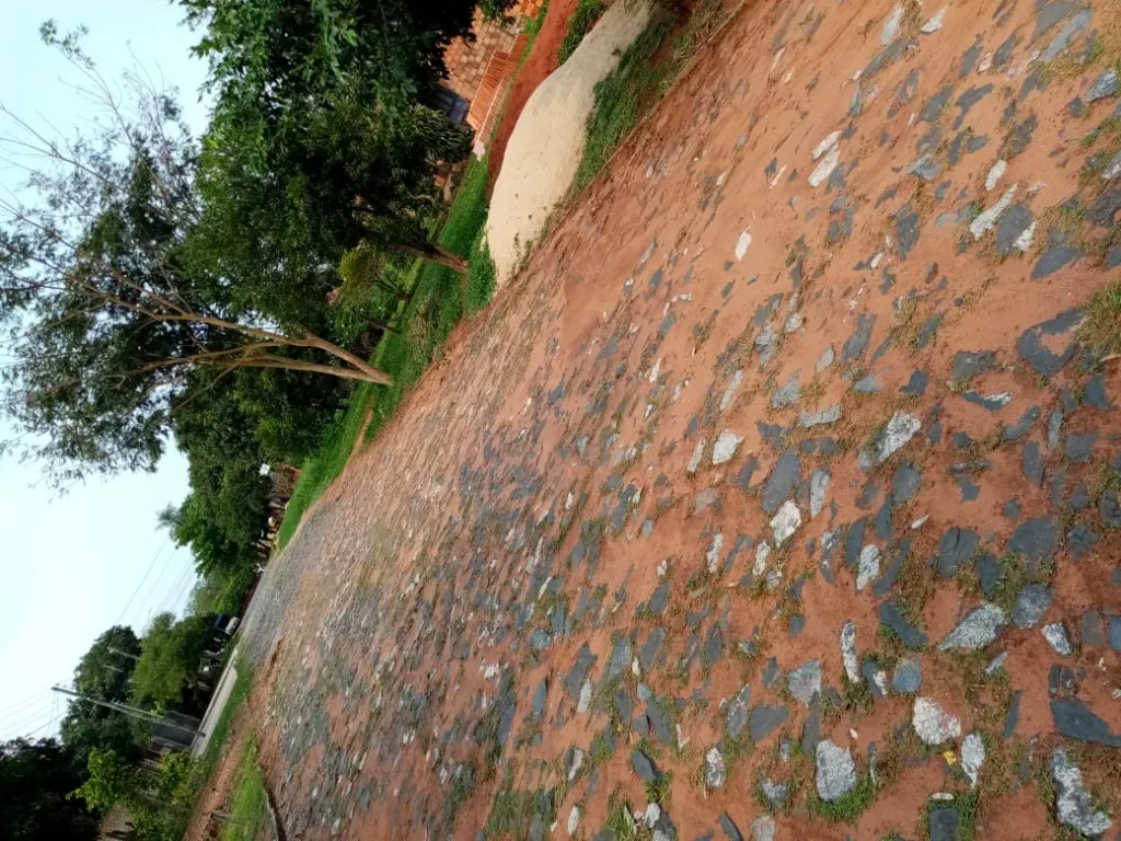 TERRENO EN ÑEMNY — foto 2