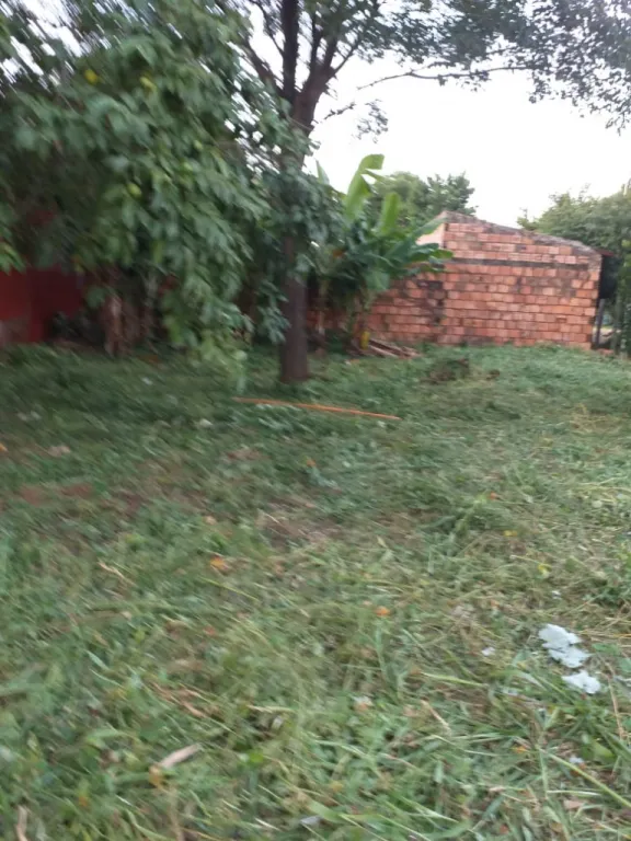 Terreno en venta en San Lorenzo — foto 2