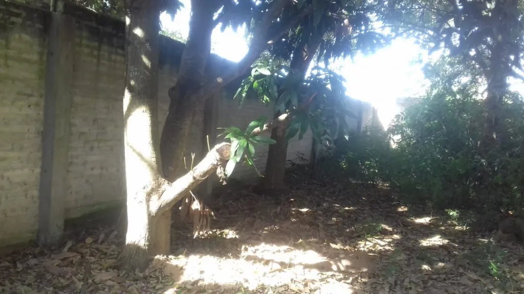 OFERTA! TERRENO EN LIMPIO 2100 mts 2 — foto 2