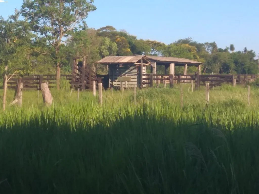 VENDO 12 Hectareas en Nueva Fortuna ALTO PARANA — foto 2