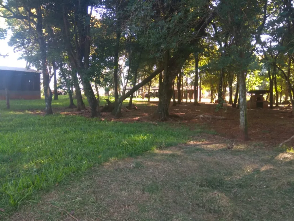 VENDO 12 Hectareas en Nueva Fortuna ALTO PARANA — foto 3
