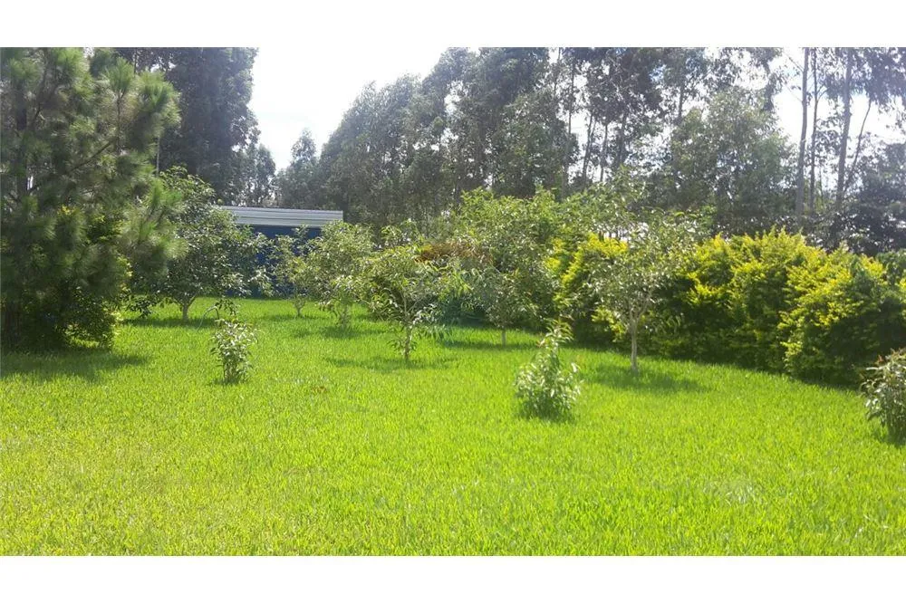 TERRENO EN VILLETA-PARA INVERSIONISTAS 3,900,000 USD — foto 2