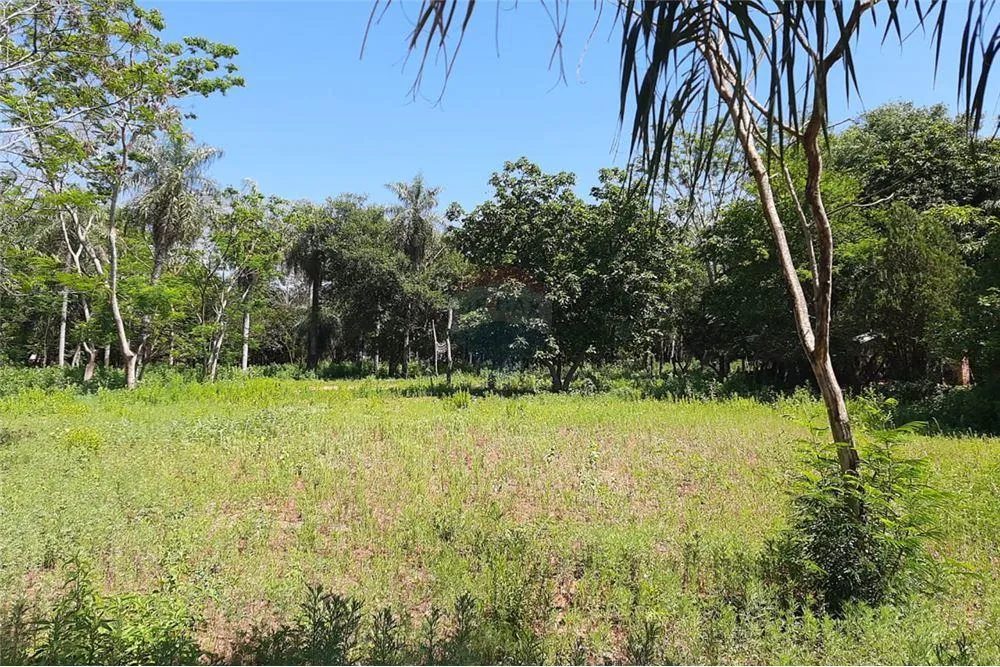 Vendo amplio terreno en Paso de Oro Ypane — foto 2