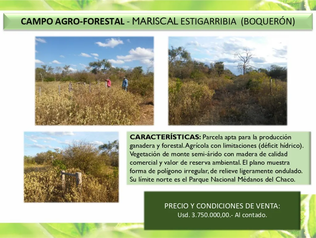 VENDO CAMPO AGRO FORESTAL - MARISCAL ESTIGARRIBIA (BOQUERON) — foto 2