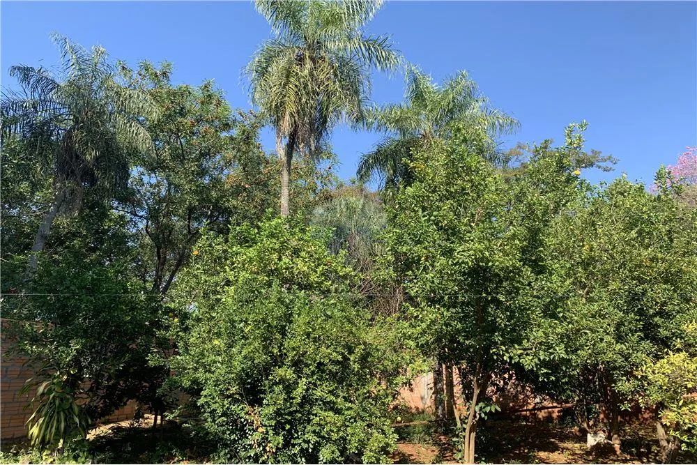 VENDO TERRENO EN LUQUE — foto 2