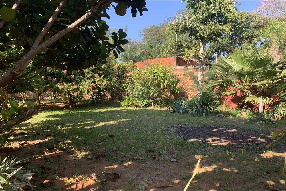 VENDO TERRENO EN LUQUE — foto 3