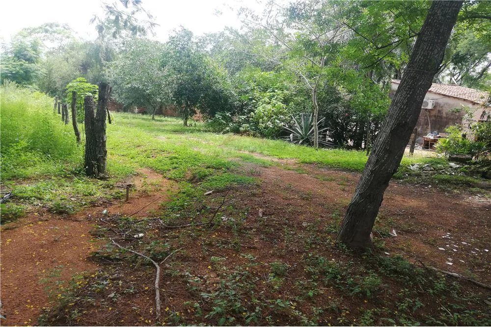 VENDO TERRENO EN LUQUE — foto 2