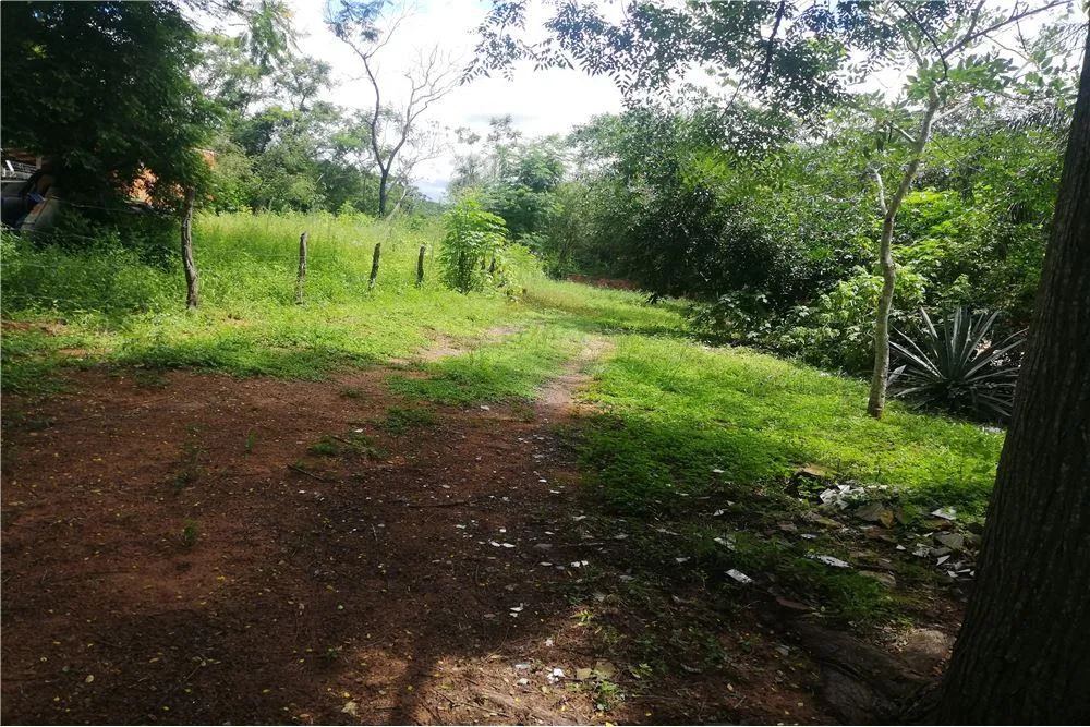 VENDO TERRENO EN LUQUE — foto 3