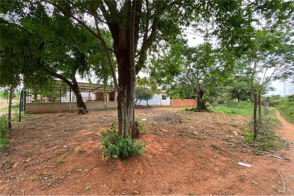 VENDO TERRENO EN LIMPIO — foto 3