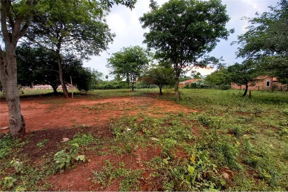 VENDO TERRENO EN LUQUE — foto 2