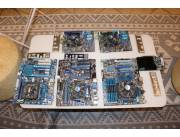 Placas madre, procesador c/ cooler y memoria ram