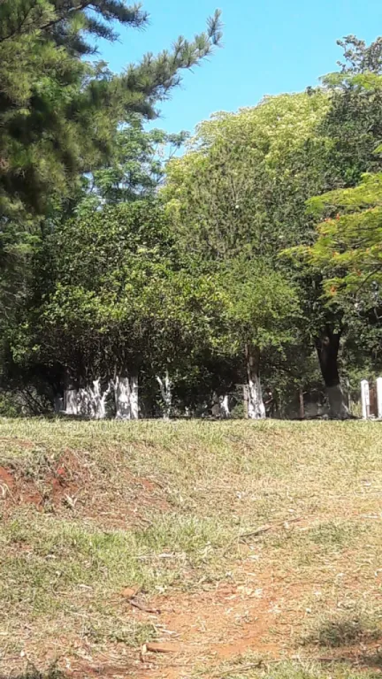 ULTIMOS DIAS OFERTA POR ESTE MES QUINTA DE 12 HECTAREAS EN BARRIO SANTO DOMINGO — foto 2