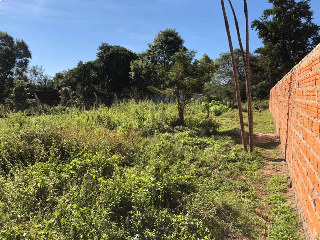 IMPERDIBLE TERRENO UBICADO EN SAN ANTONIO — foto 2