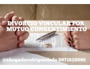 SUCESIONES (SENTENCIA DECLARATORIA DE HEREDEROS) Y OTROS JUICIOS DEL ÁMBITO CIVIL.-