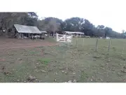 Vendo estancia agroganadera de 1100 hectáreas en Ayolas, Misiones.