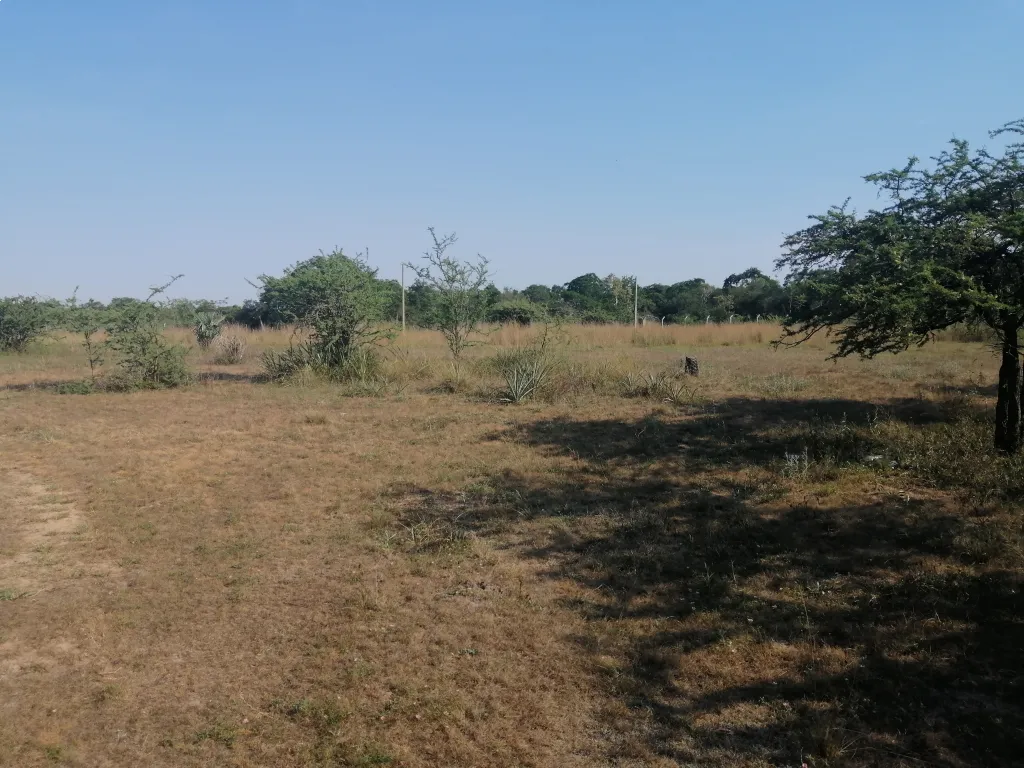 AREGUA YUKYRY VENDO TERRENO 12.953m2 — foto 3