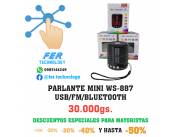 OFERTA!!😍 🎀 PARLANTE MINI WS-887 USB/FM/BLUETOOTH 💥