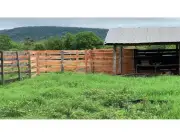 Campo Estancia en Ybycuí-Paraguarí 200,000 USD