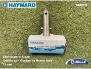 Cepillo de Acero Inoxidable para Algas - HAYWARD (Made in USA)