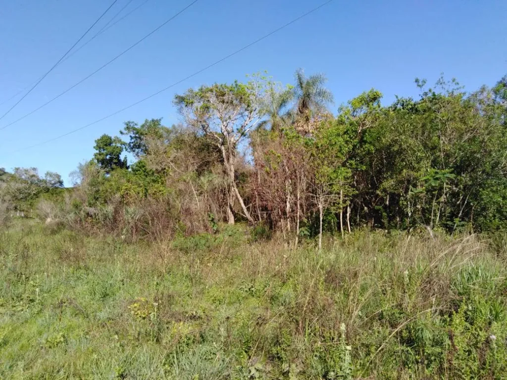 TERRENO EN YTU A METROS DEL ARROYO — foto 2