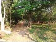 Vendo hermoso terreno zona Céntrica de 1ha y 2486 m2 en San Juan Bautista Misiones