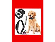 GPS localizador para mascota