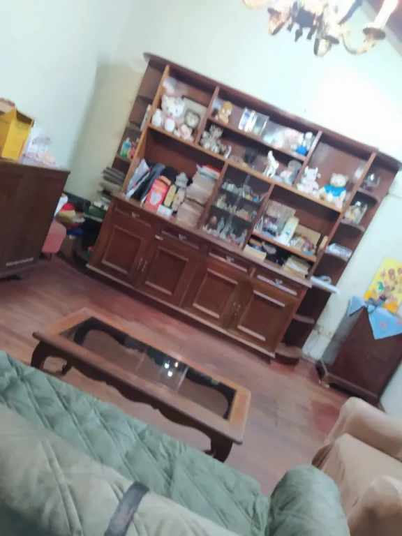VENDO AMPLIA PROPIEDAD BARRIO RECOLETA ZONA IGLESIA SAN RAFAEL — foto 3