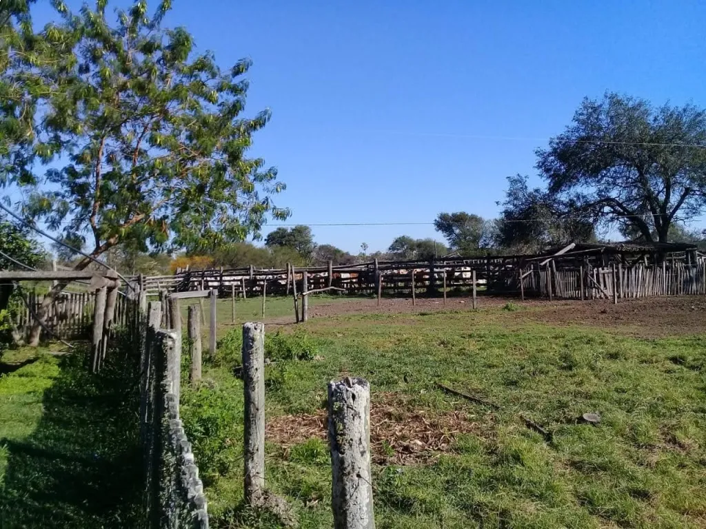 Estancia de 1000 hectáreas en Bruguez — foto 2
