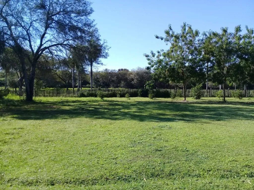 Estancia de 1000 hectáreas en Bruguez — foto 3