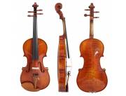 Violin Advanced Professional Modelo HVB01