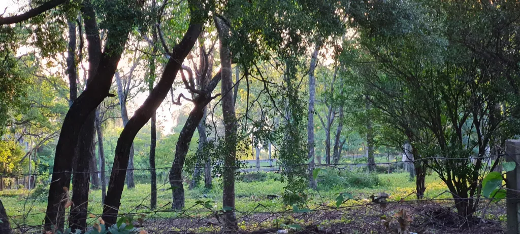 Terreno en San Bernardino Suiza del Norte con vista al Lago Ypacarai — foto 2
