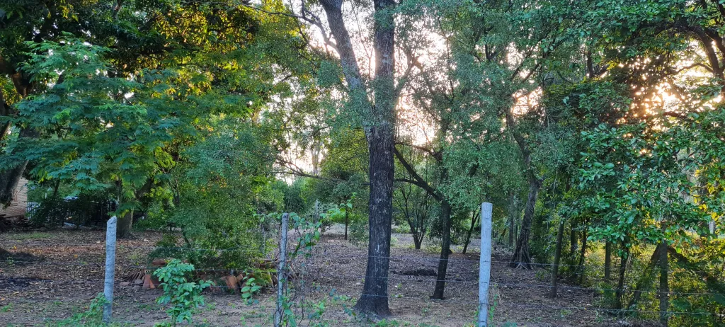 Terreno en San Bernardino Suiza del Norte con vista al Lago Ypacarai — foto 3