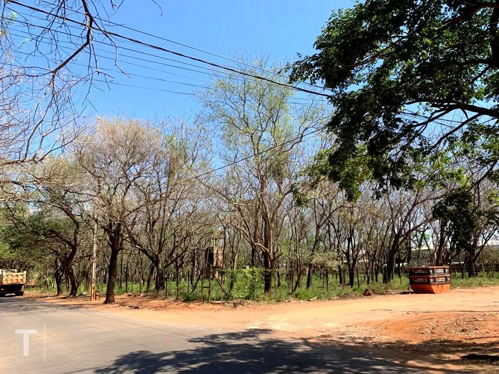 LUQUE, VENDO EN EXCELENTE PROPIEDAD EN INMEJORABLE UBICACIÓN — foto 3