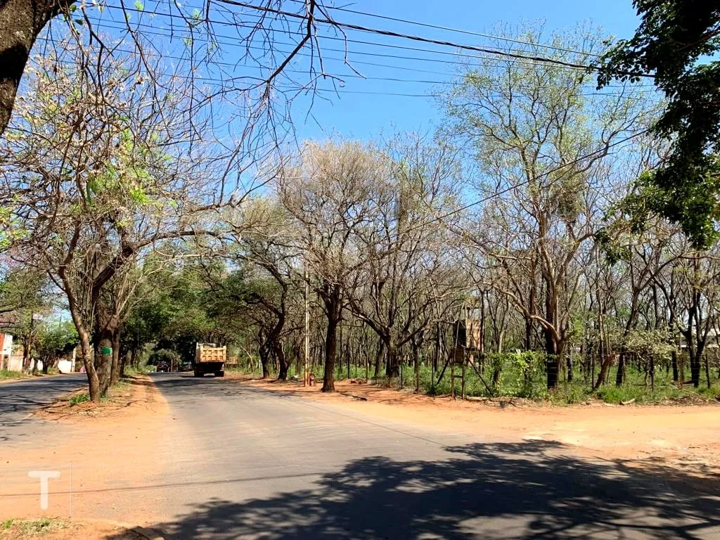 LUQUE, VENDO EN EXCELENTE PROPIEDAD EN INMEJORABLE UBICACIÓN — foto 2