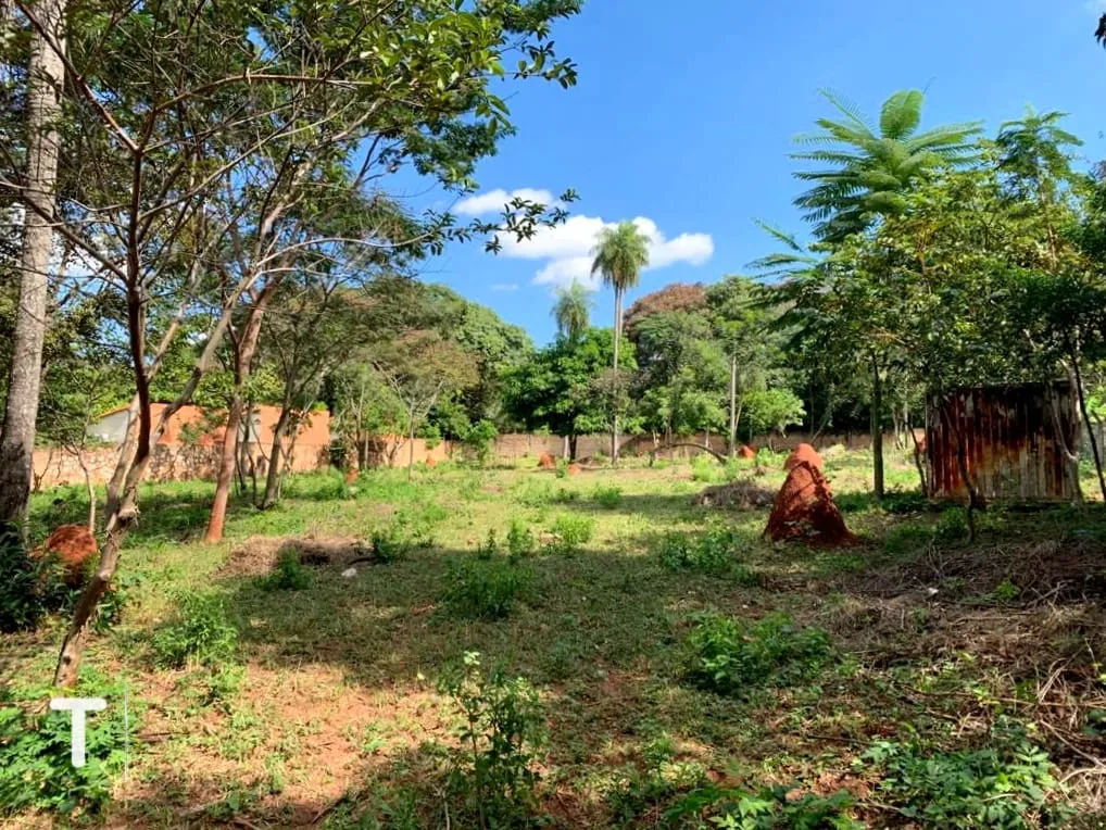AMPLIO TERRENO EN ALTOS — foto 2
