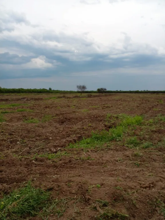 VENDO ESTANCIA FUERTE OLIMPO. — foto 2