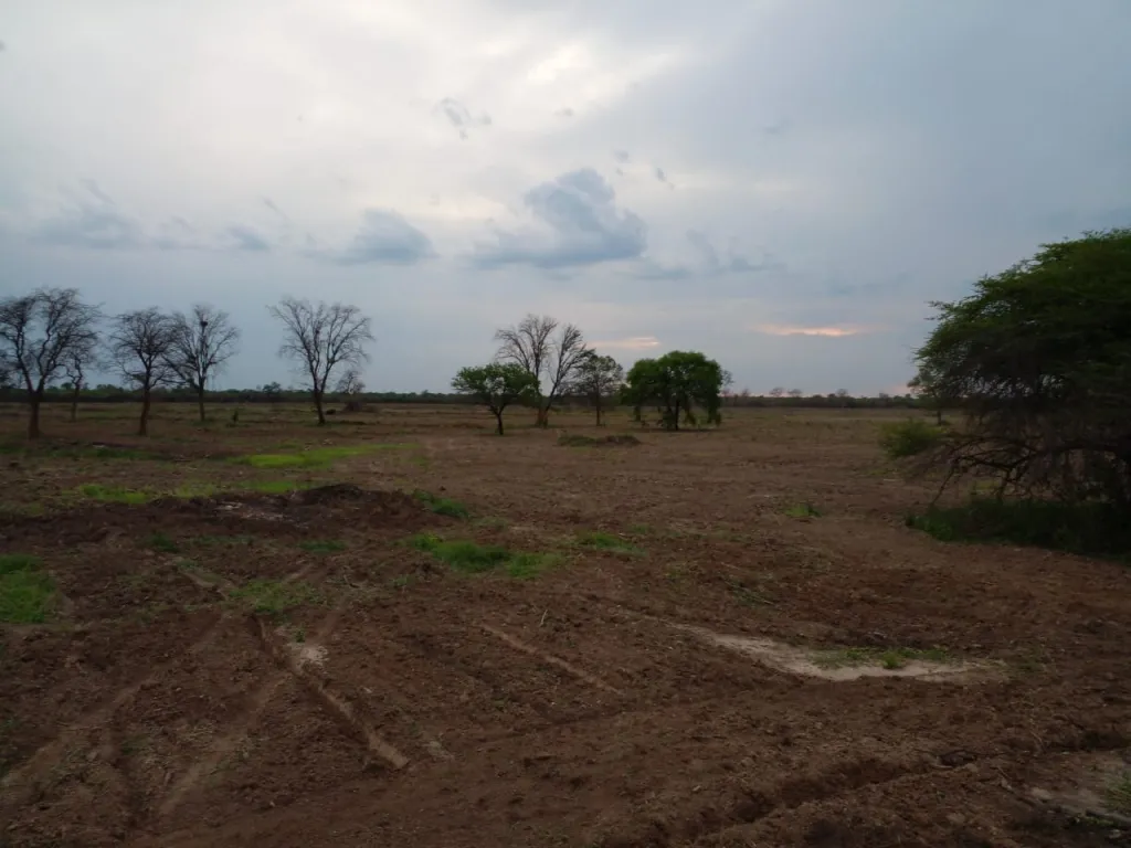 VENDO ESTANCIA FUERTE OLIMPO. — foto 3
