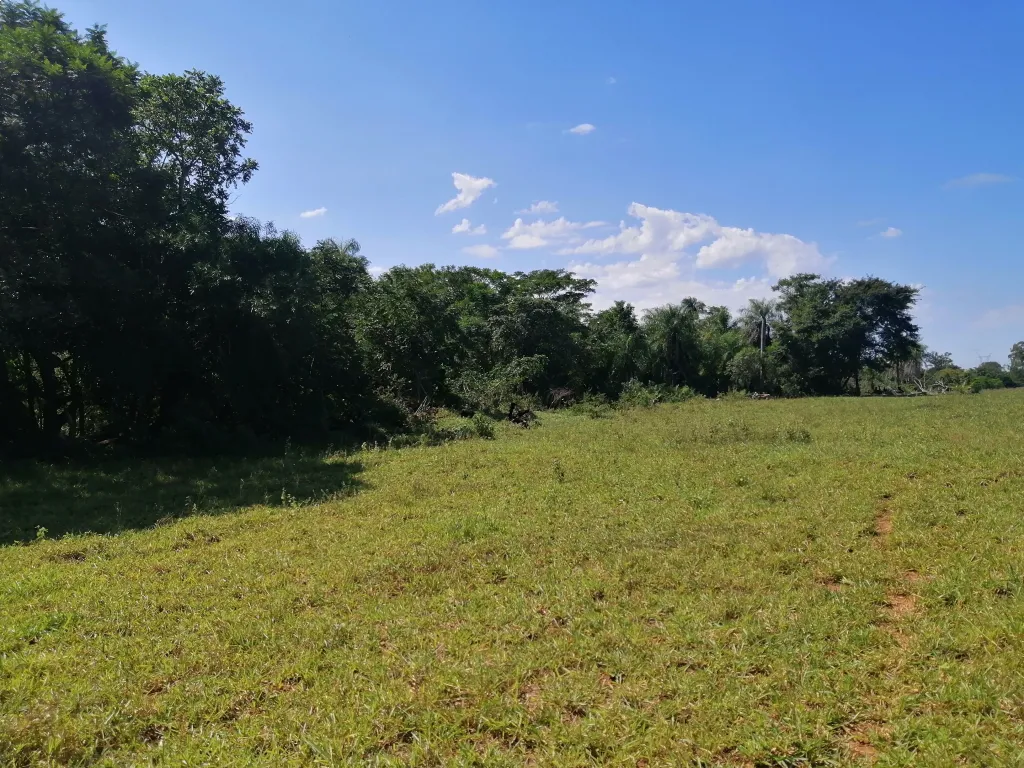 ATYRA 8,5HA TIERRA ROJA CON POZO ARTESIANO. ENERGIA ELECTRICA VENDO TERRENO — foto 2