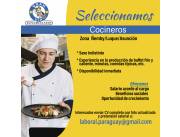 Cocinero profesional y/o Ayudante de Cocina